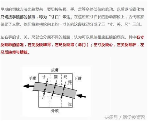 鬼祟脈是什麼|中醫必學的脈診基礎，十分難得，學會你也可以去把脈。